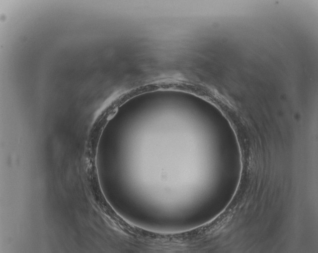 X0000063491400200601271708