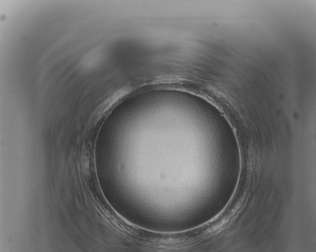 X0000063491401200601271708