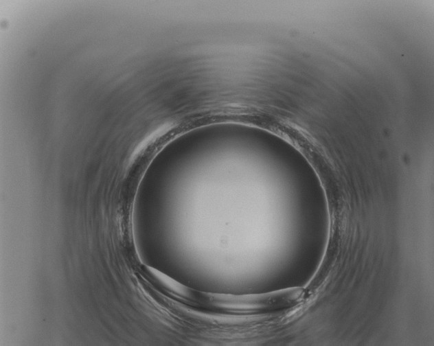 X0000063491402200601271708