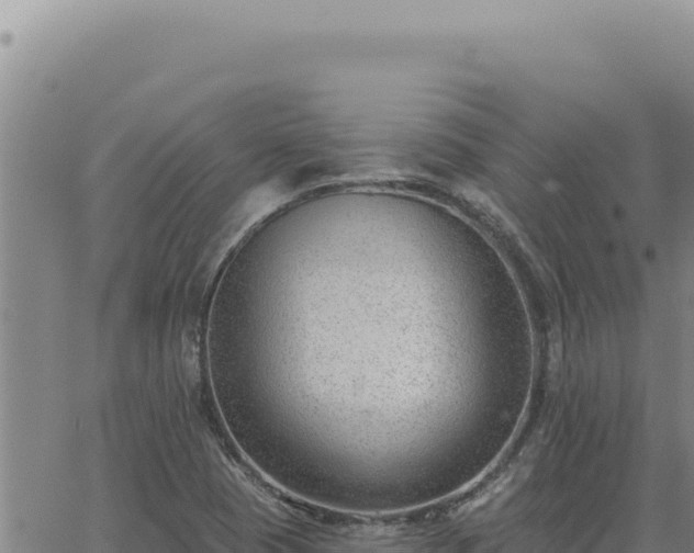 X0000063491409200601271708