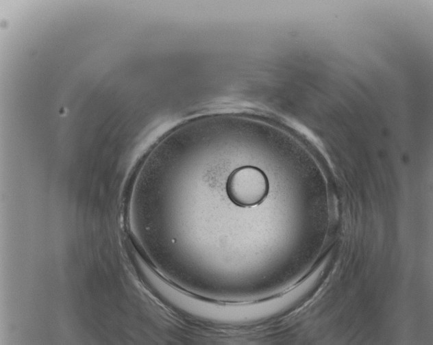 X0000063491415200601271708