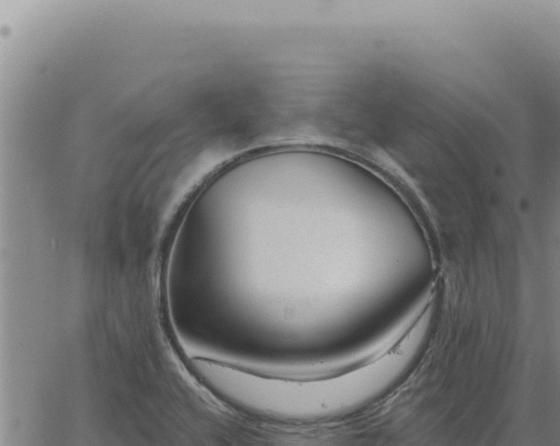 X0000063491416200601271708