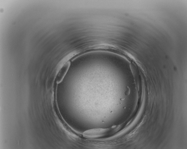 X0000063491418200601271708