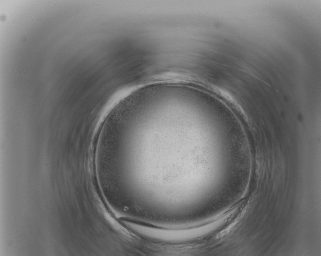 X0000063491421200601271708