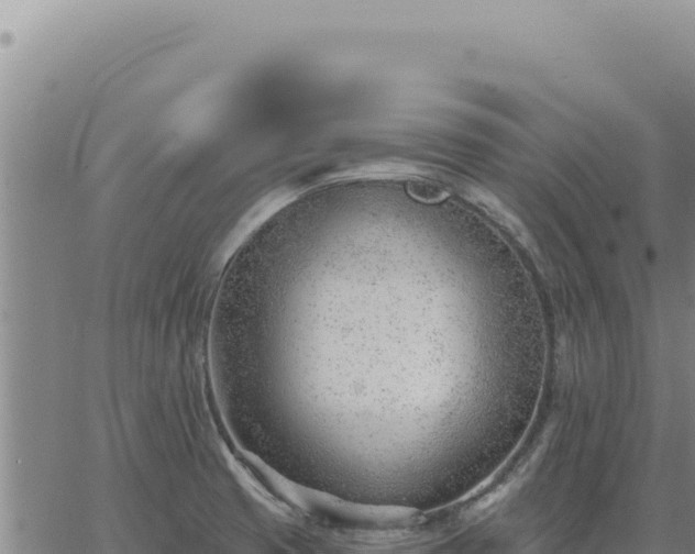 X0000063491425200601271708