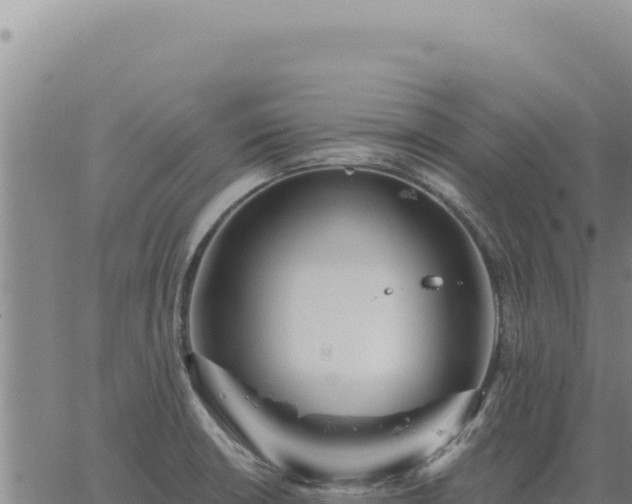 X0000063491426200601271708