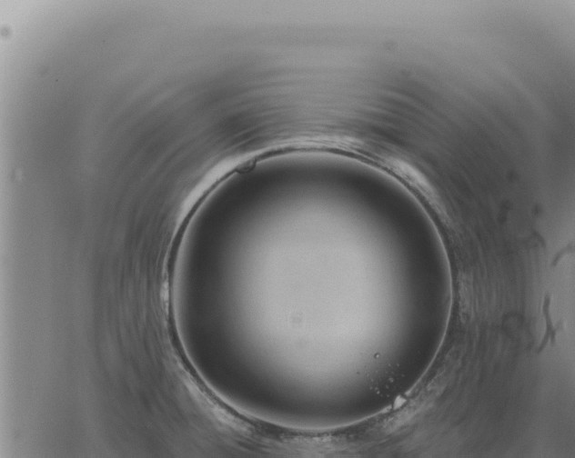 X0000063491428200601271708