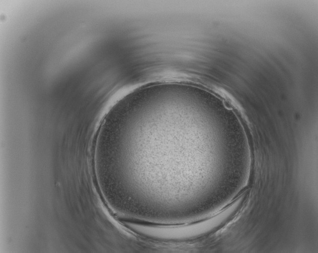 X0000063491429200601271708