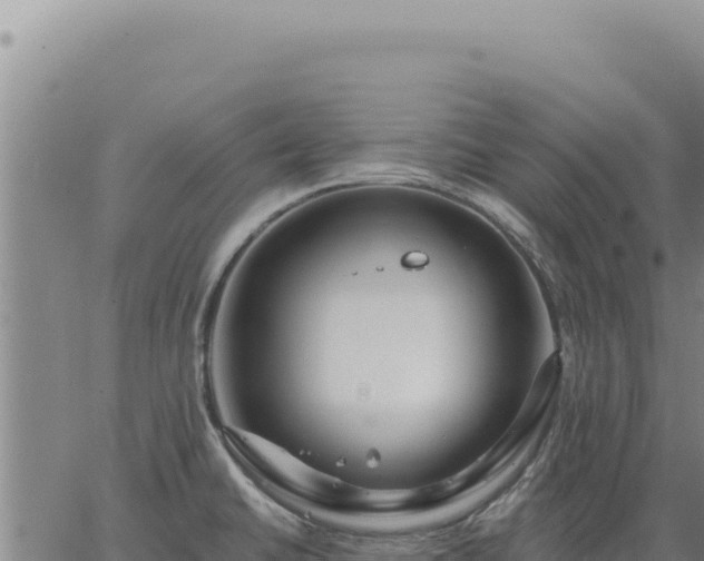 X0000063491430200601271708