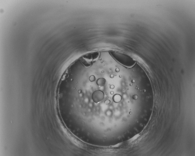 X0000063491431200601271709