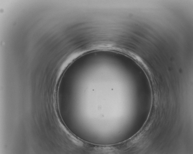 X0000063491432200601271709