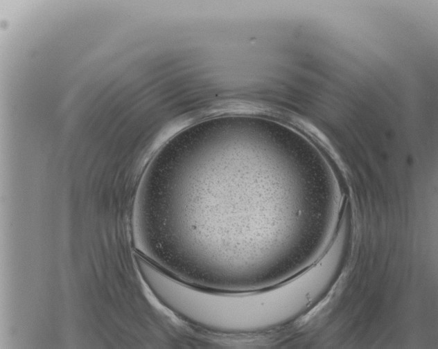 X0000063491433200601271709