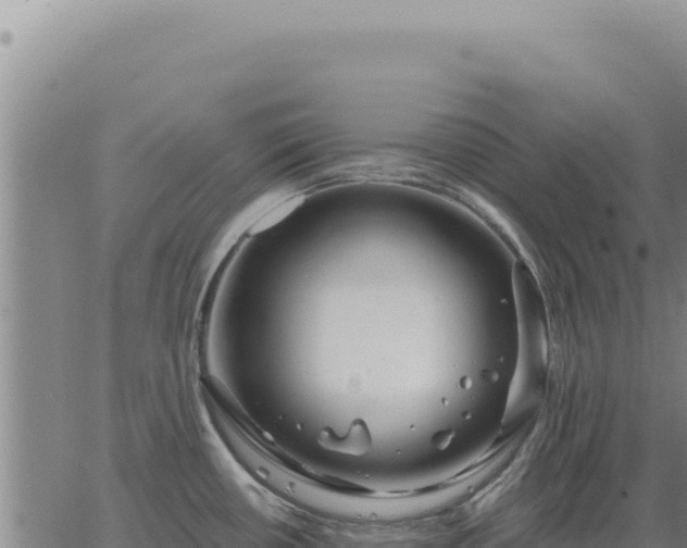 X0000063491434200601271709