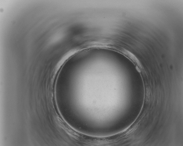 X0000063491435200601271709