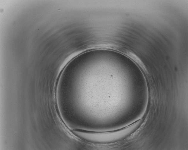 X0000063491436200601271709