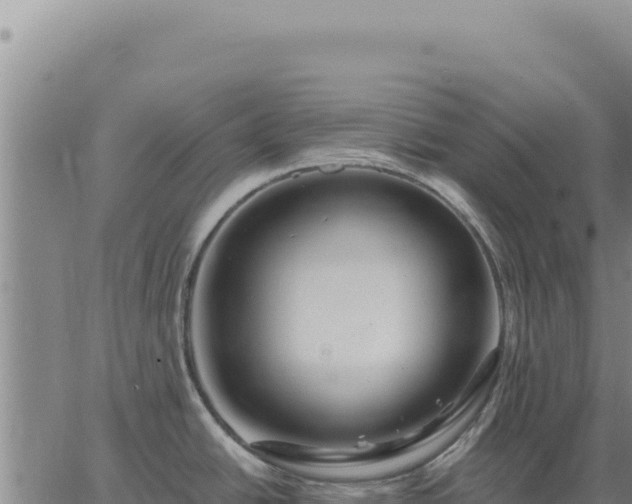 X0000063491438200601271709