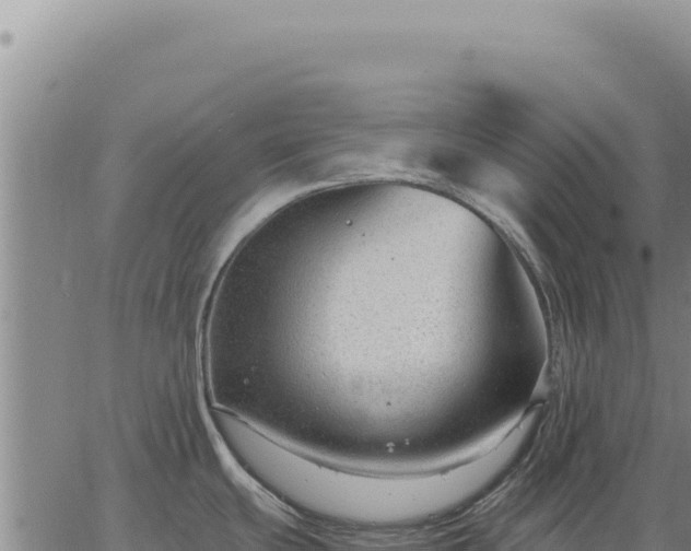 X0000063491439200601271709