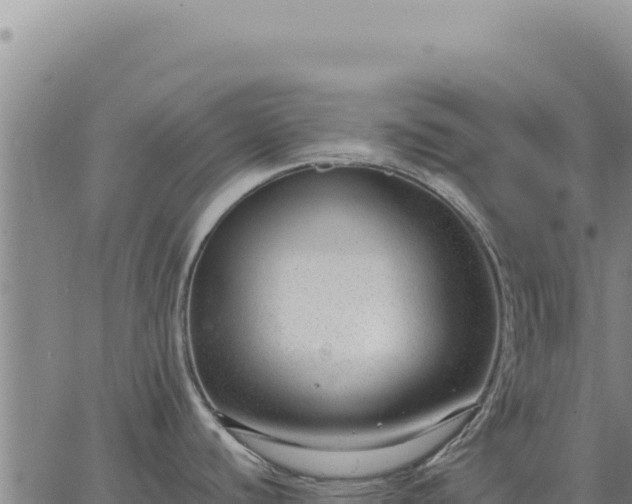 X0000063491440200601271709