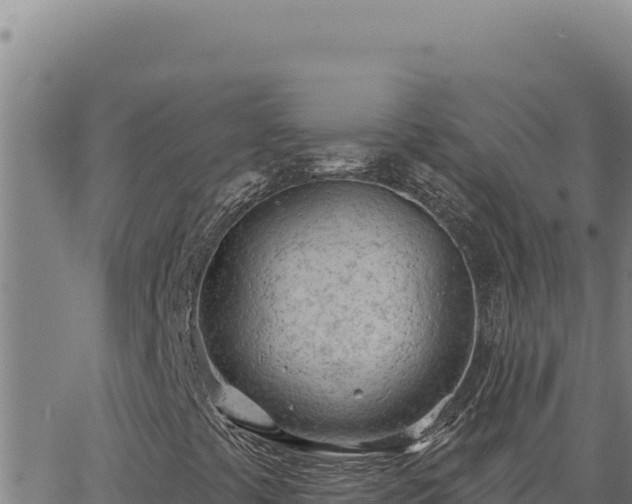 X0000063491441200601271708