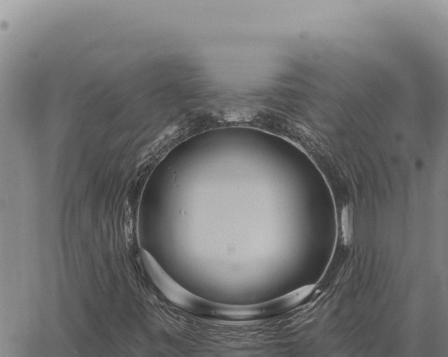 X0000063491443200601271708