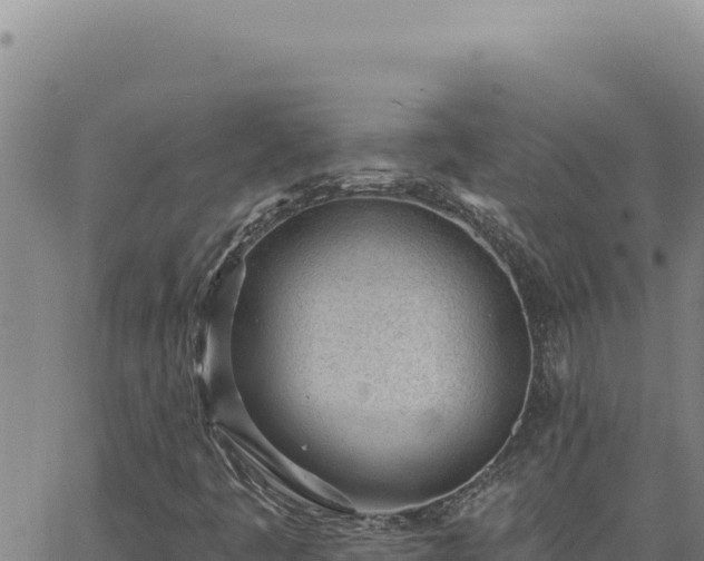 X0000063491445200601271708