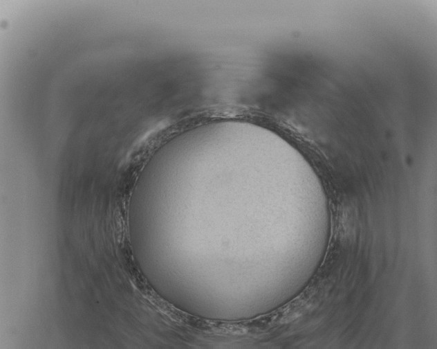 X0000063491446200601271708