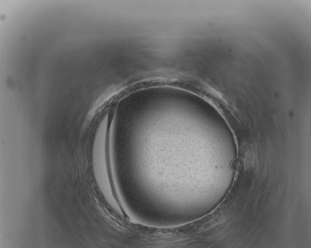 X0000063491448200601271708