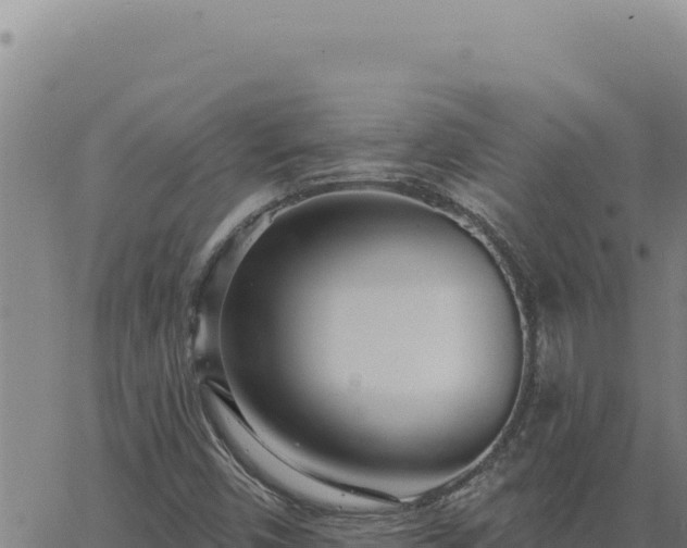 X0000063491450200601271708