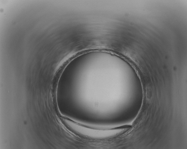 X0000063491452200601271708