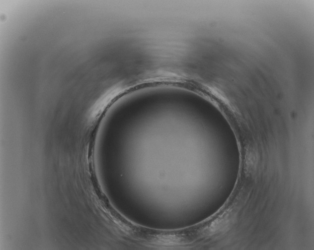 X0000063491455200601271708