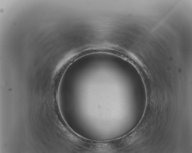 X0000063491456200601271708