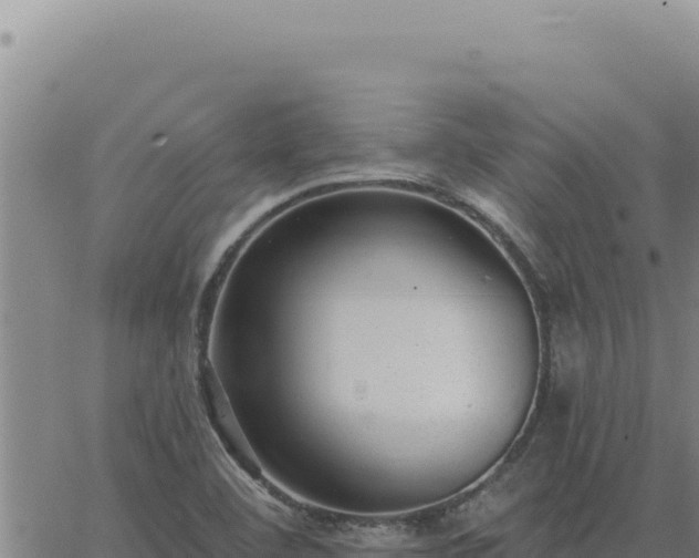 X0000063491460200601271708