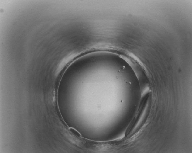 X0000063491461200601271708