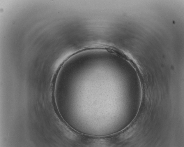 X0000063491463200601271708