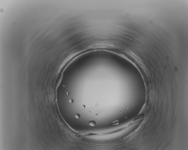 X0000063491465200601271707