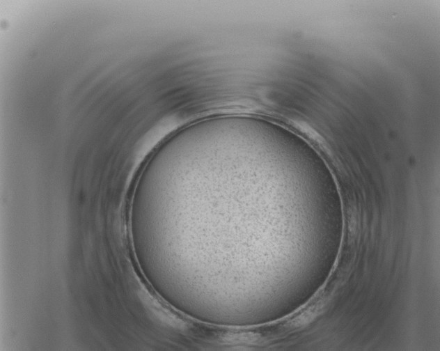 X0000063491466200601271707