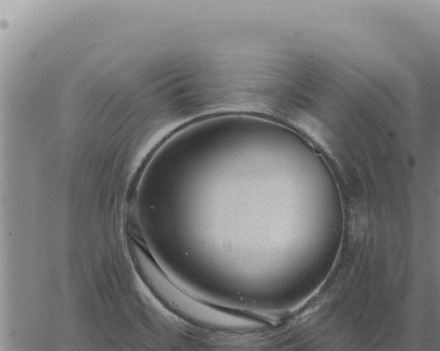 X0000063491468200601271707