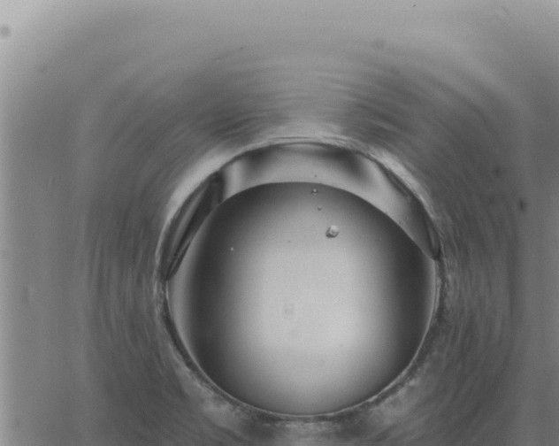 X0000063491469200601271707