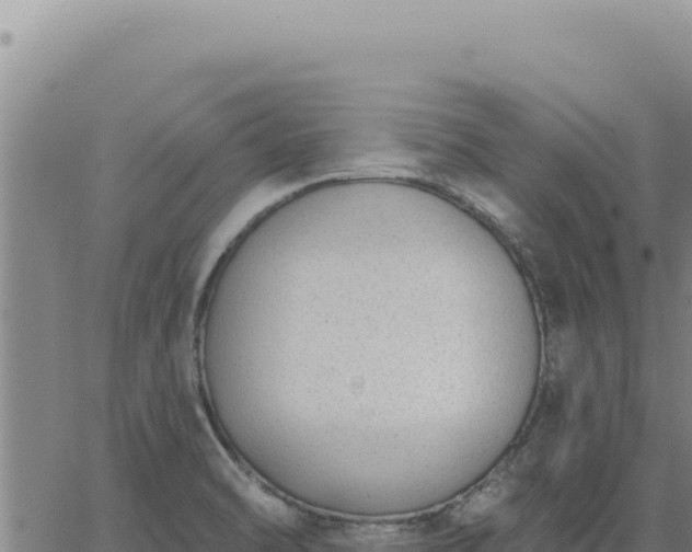 X0000063491470200601271707