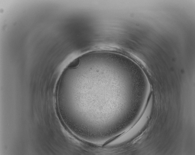 X0000063491471200601271707