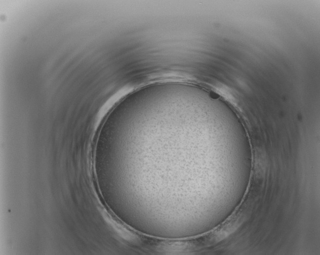 X0000063491474200601271707