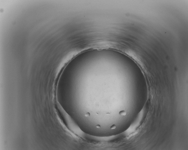 X0000063491477200601271707