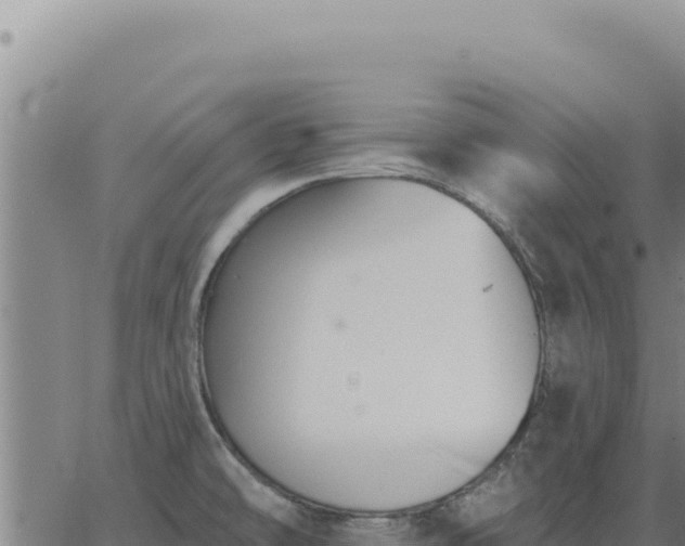 X0000063491478200601271707