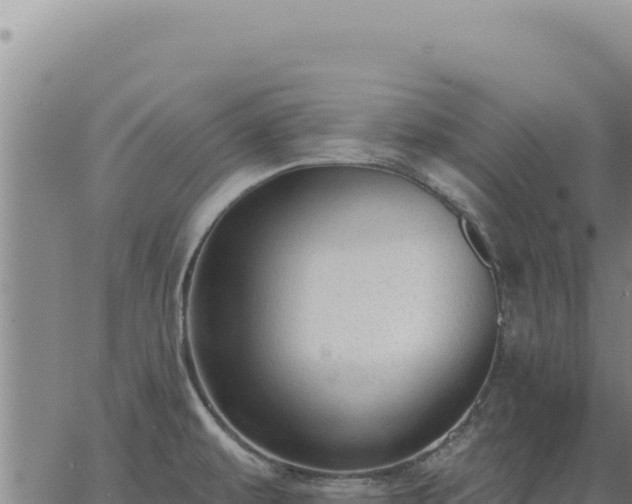 X0000063491479200601271707