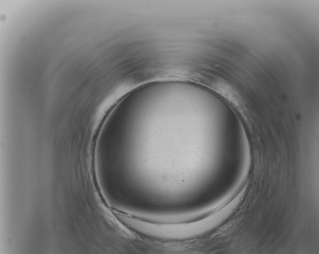 X0000063491480200601271707