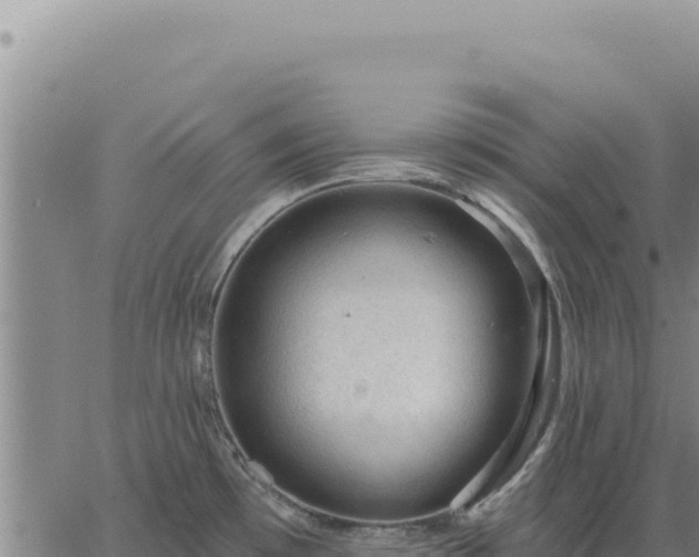 X0000063491481200601271707