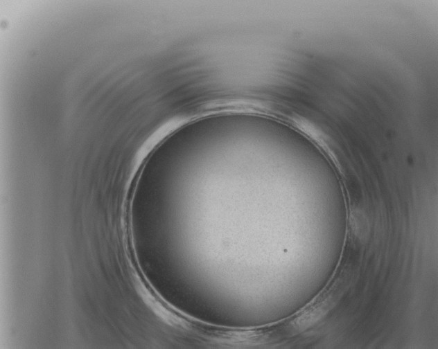 X0000063491482200601271707