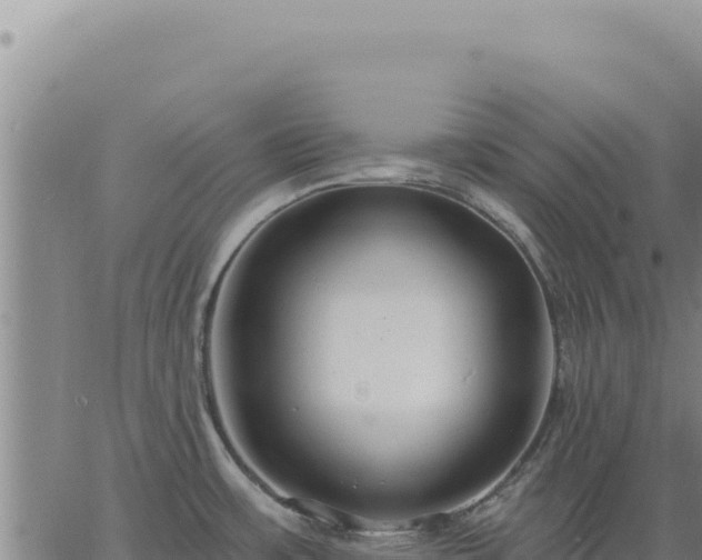 X0000063491483200601271707