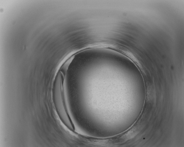 X0000063491484200601271707