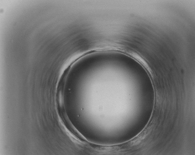 X0000063491485200601271707